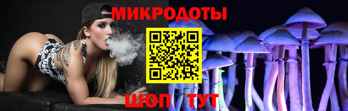 Псилоцибиновые грибы Psilocybe Коломна